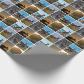 Kangoeroes van Australië Cadeaupapier (Hoek)