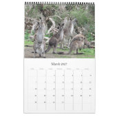 Kangoeroes Wallabies 2025 Kalender (Mar 2027)