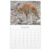 kangoeroes wallaby's 2027 kalender (Feb 2027)