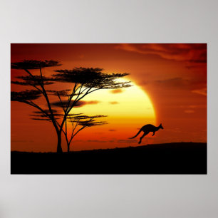 kangoroe bij zonsondergang poster