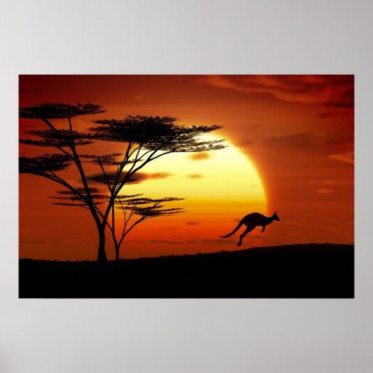 kangoroe bij zonsondergang poster (Voorkant)