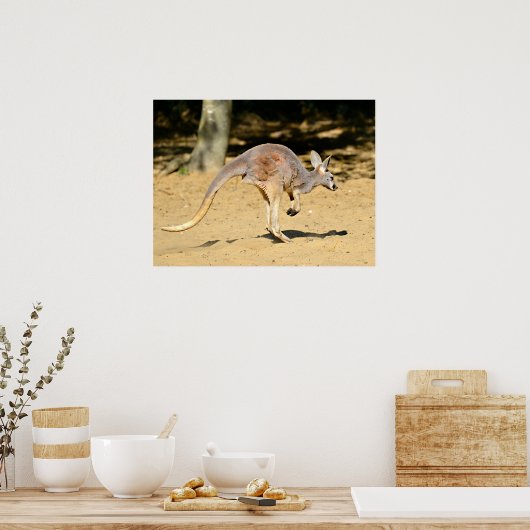 Kangourou die met de dik loopt briefkaart poster (Keuken)