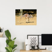 Kangourou die met de dik loopt briefkaart poster (Thuiskantoor)