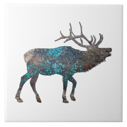 KANIENS VOOR ELK GEBRUIK, NIEUW MEXICO TEGELTJE (Voorkant)