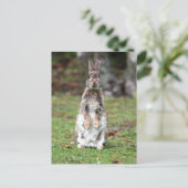 Kaninchen Briefkaart (Staand voorkant)