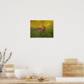 Kaninchen im Abendlicht Poster (Keuken)