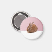 Kaninchen Magneet (Voorkant / Achterkant)