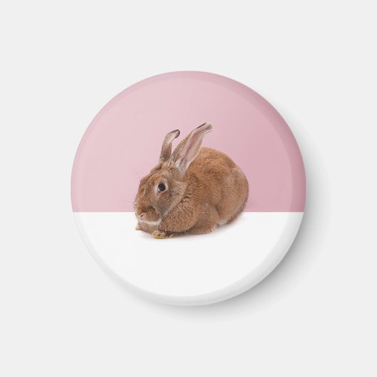 Kaninchen Magneet (Voorkant)