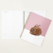 Kaninchen Planner (Display)