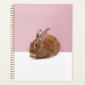 Kaninchen Planner (Voorkant)