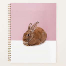 Kaninchen Planner