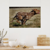 Kaninenspiergrafiek Poster (Keuken)