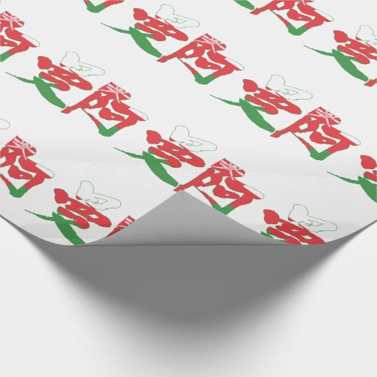 [Kanji] Oman Cadeaupapier (Hoek)