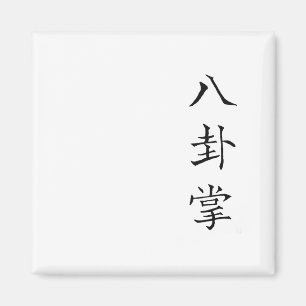 Kanji tekent Chinese tekst Baguazhang Magneet