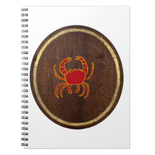 Kanker 2009 notitieboek