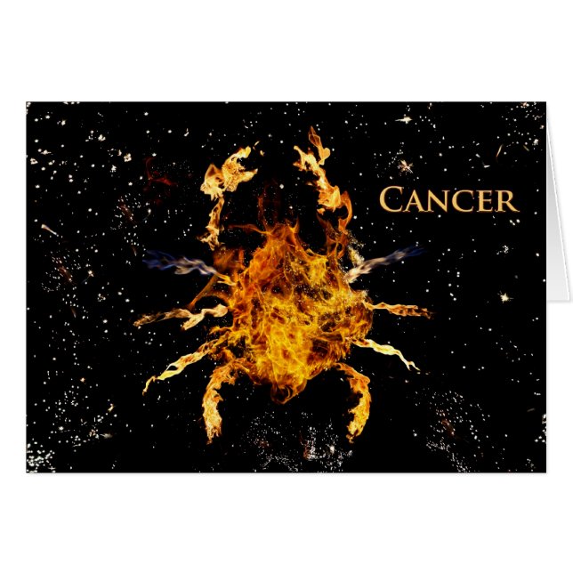 Kanker de krab (Voorkant Horizontaal)