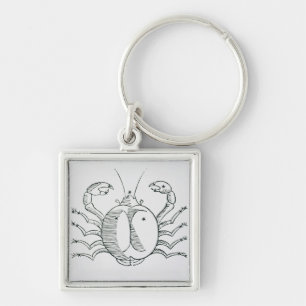 Kanker (de krab) een illustratie uit de 'Poëtisch Sleutelhanger