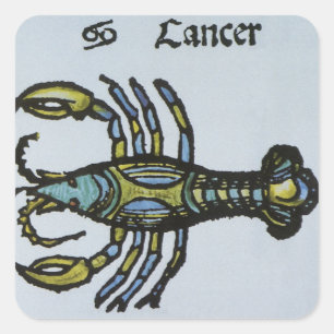 Kanker de krab,  teken van de dierenriem vierkante sticker