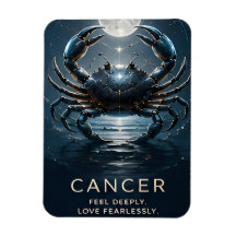 Kanker Dierenriem Krab Hemel Astrologie Symbool