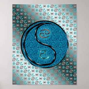 Kanker en waterslang poster
