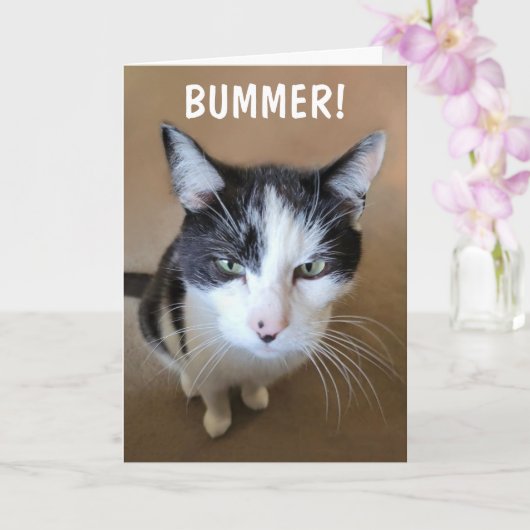 Kanker is een Bummer Kaart (Orchidee)