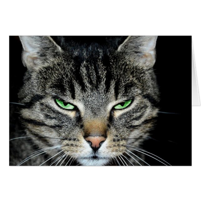 Kanker is hard, maar je bent veel zwaarlijviger (Voorkant Horizontaal)