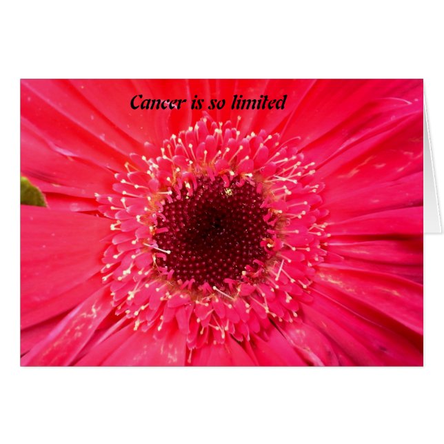 Kanker is zo beperkt (Voorkant Horizontaal)