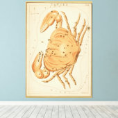 Kanker krab - teken van het Afbeelding van de die Canvas Afdruk (Insitu (Houten vloer))