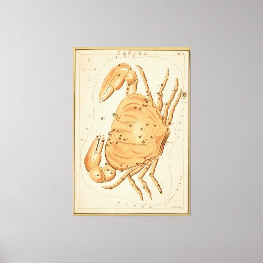 Kanker krab - teken van het Afbeelding van de die Canvas Afdruk (Voorkant)