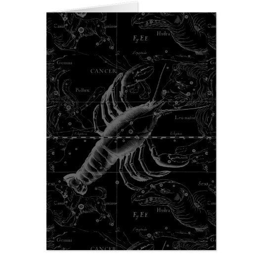 Kanker Sterrenbeeld Hevelius 1690 op Zwart (Voorkant)