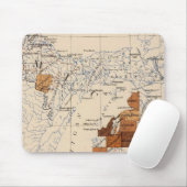 Kanker, tumor Michigan Muismat (Met muis)