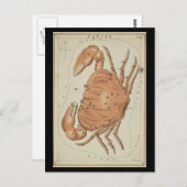 Kanker van de krab briefkaart (Voorkant / Achterkant)