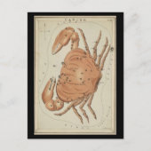 Kanker van de krab briefkaart (Voorkant)