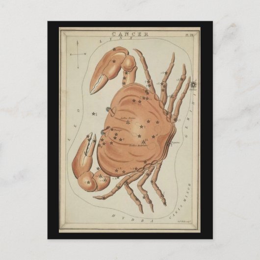 Kanker van de krab briefkaart (Voorkant)