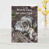 Kanker Voelt Als Tussen Een Steen En Een Harde Pla Kaart (Gele Bloem)