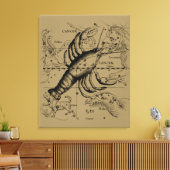 Kanker Zodiac Constellation door Hevelius 1690 Canvas Afdruk (Insitu (Woonkamer))