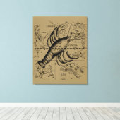Kanker Zodiac Constellation door Hevelius 1690 Canvas Afdruk (Insitu (Houten vloer))