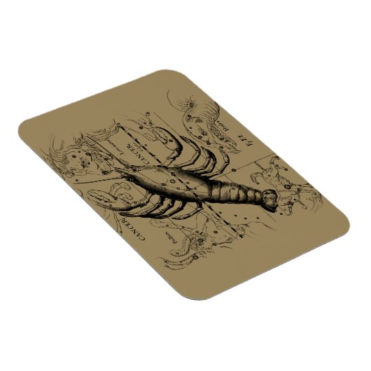 Kanker Zodiac Constellation door Hevelius 1690 Magneet (Rechterzijde)