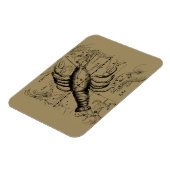 Kanker Zodiac Constellation door Hevelius 1690 Magneet (Linkerzijde)