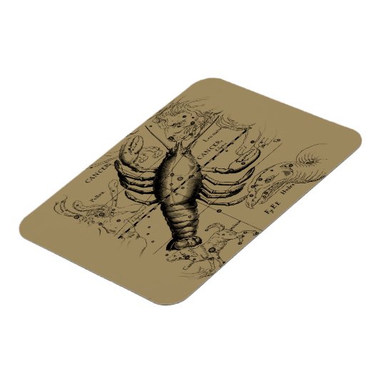 Kanker Zodiac Constellation door Hevelius 1690 Magneet (Linkerzijde)