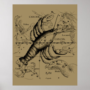 Kanker Zodiac Constellation door Hevelius 1690 Poster