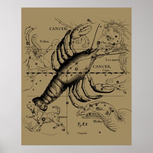 Kanker Zodiac Constellation door Hevelius 1690 Poster (Voorkant)