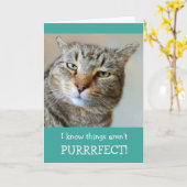 Kankeraanmoediging Funny Cat Kaart (Gele Bloem)