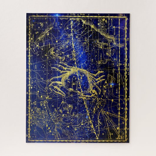 Kankerconcentratie Legpuzzel (Verticaal)