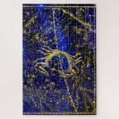 Kankerconcentratie Legpuzzel (Verticaal)