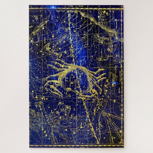 Kankerconcentratie Legpuzzel (Verticaal)