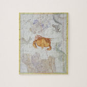 Kankerconstellatie, bord 4 van "Atlas Coele" Legpuzzel (Verticaal)