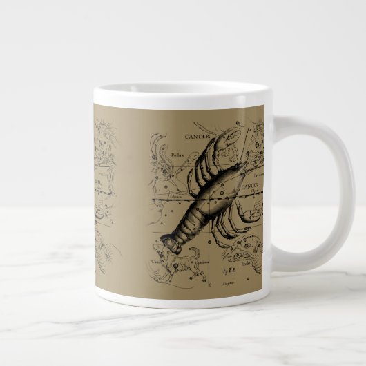 Kankerconstellatie door Hevelius circa 1690 Grote Koffiekop (Rechts)