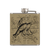 Kankerconstellatie door Hevelius circa 1690 Heupfles (Achterkant)