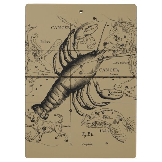Kankerconstellatie door Hevelius circa 1690 Klembord (Achterkant)